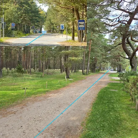 Pusynas * Palanga